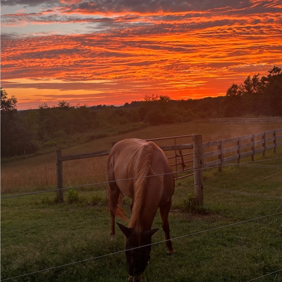 Meet your Posher, Rebekah - Picture 6 of 6